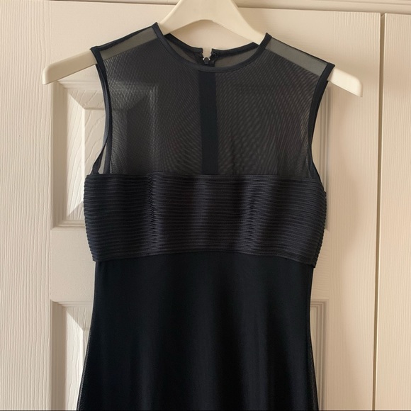 Designer Tadashi Shoji - Floor Length Mesh Dress - Size 02P - Picture 3 of 8